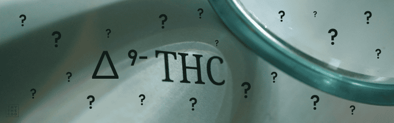 What is delta 9 THC