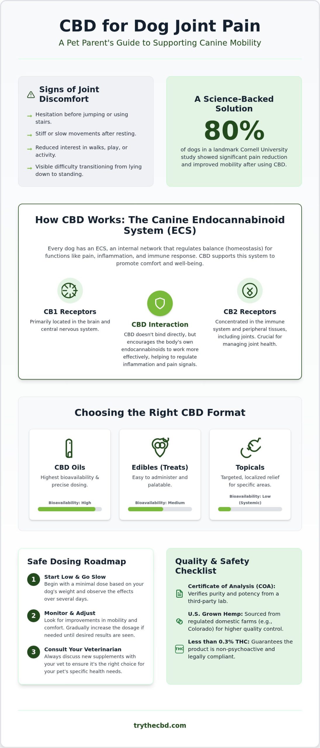 CBD for Dog Joint Pain: Mobility & Comfort Guide 2026